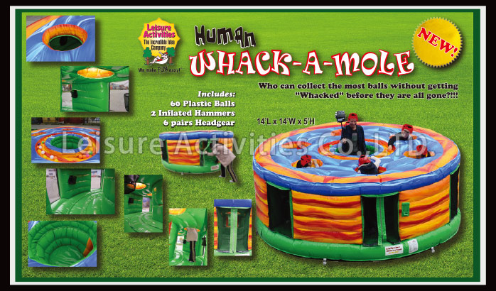 life size whack a mole